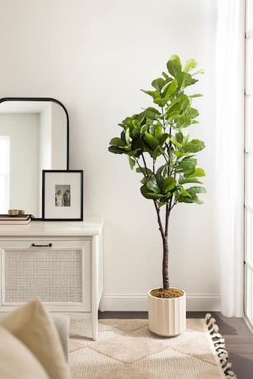 Kate and Laurel 6ft. Fidmont Faux Fiddle Fig Tree with White Planter